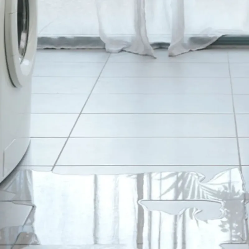 Appliance Leak Cleanup in Marion, WI