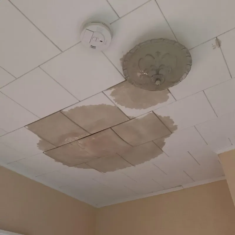 Ceiling Water Damage Repair in Marion, WI