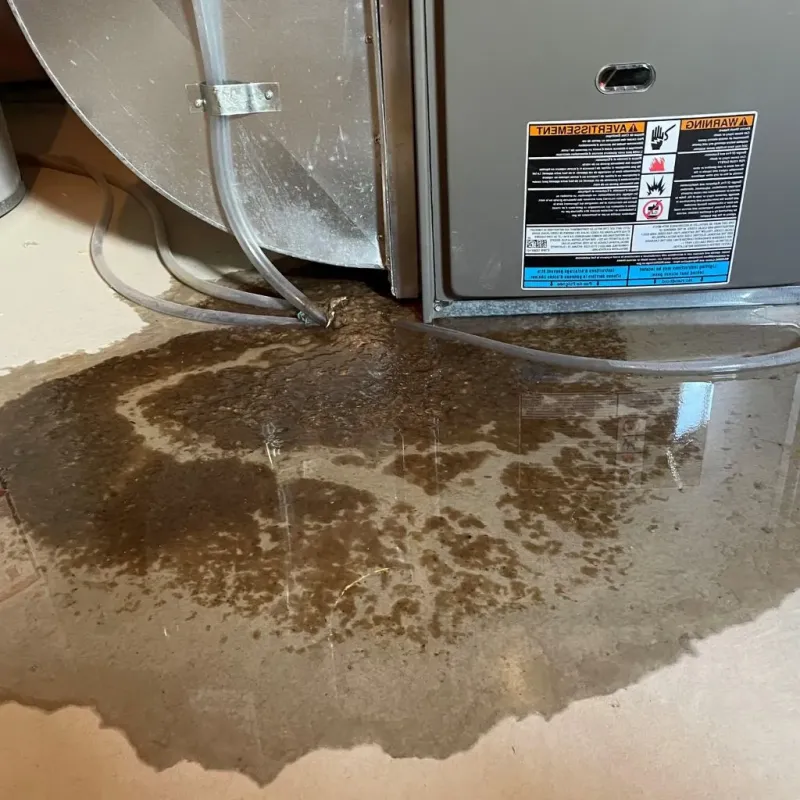 Pipe Burst and Leak Restoration in Marion, WI