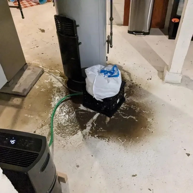 Sewage Backup Cleanup Service in Marion, WI